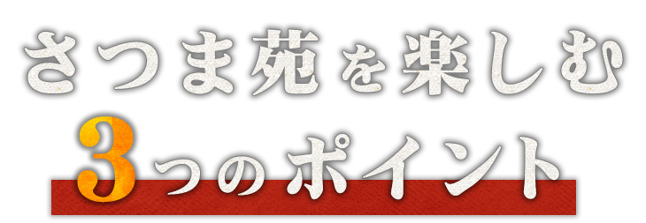 さつま苑を楽しむ3つのポイント