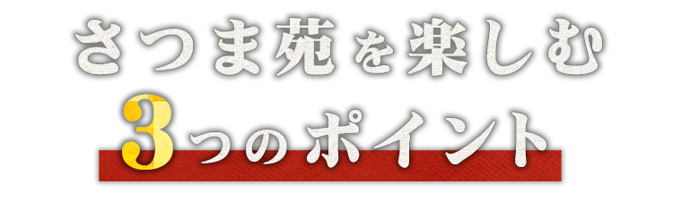 さつま苑を楽しむ3つのポイント